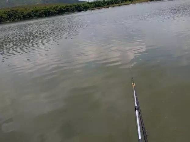 手钓钓鱼技巧,野钓手竿垂钓技巧的介绍