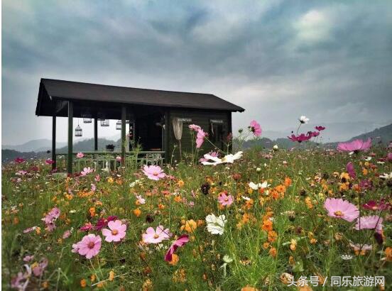 千岛湖畔环境最好的10家民宿可以躺床上钓鱼(下篇)