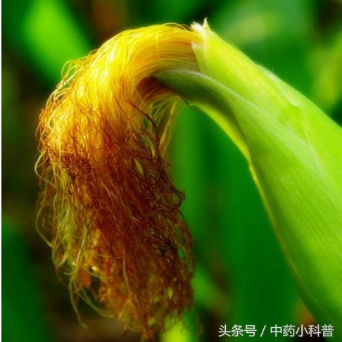 官方正品减肥瘦身药,减肥药瘦身神器