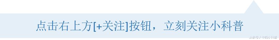 官方正品减肥瘦身药,减肥药瘦身神器