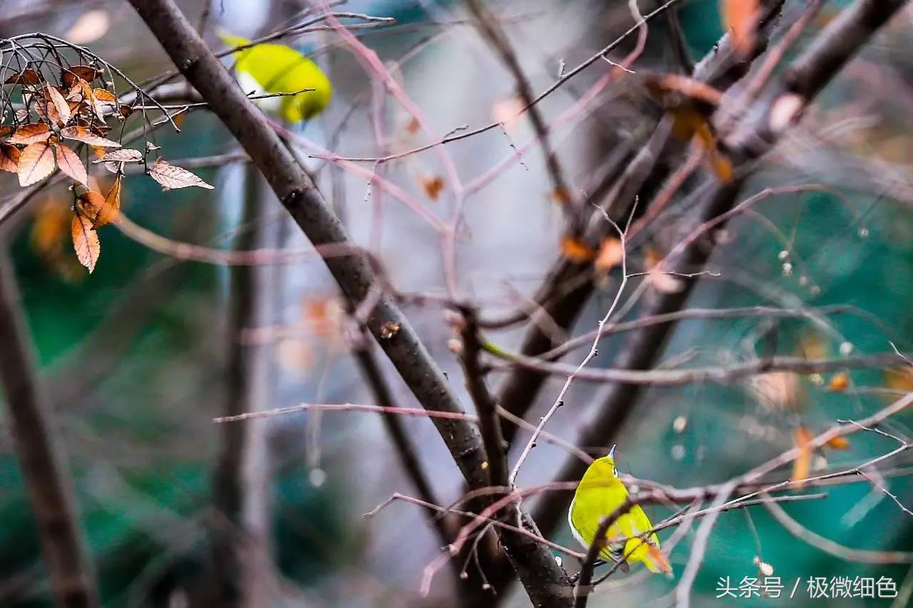 微信群发拜年祝福语怎么发,微信拜年群发