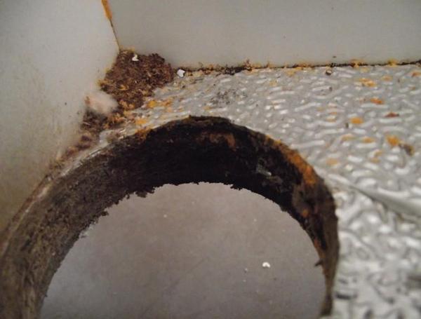 厨房橱柜很臭怎么处理,超级恶心的厨房