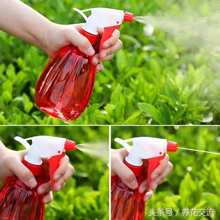 养花肥皂水可灭虫吗,养花杀虫用什么办法好用