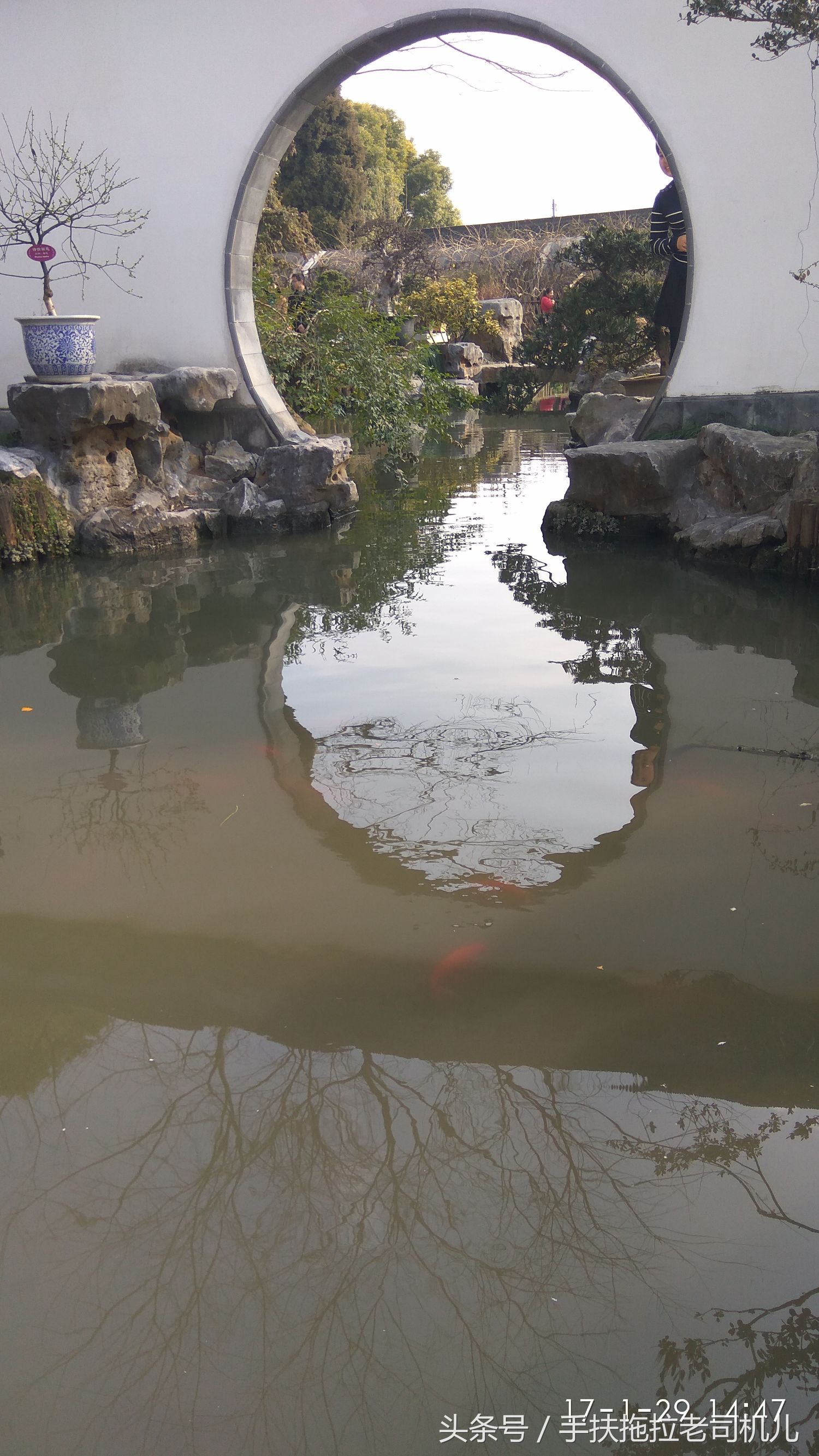 松江醉白池旅游攻略,松江醉白池免费时段