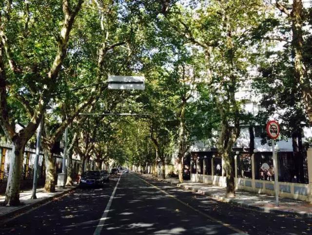 过年上海周边旅游最值得去的地方,上海假期周边旅游攻略大全