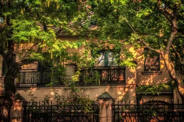 过年上海周边旅游最值得去的地方,上海假期周边旅游攻略大全