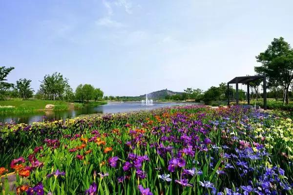 过年上海周边旅游最值得去的地方,上海假期周边旅游攻略大全