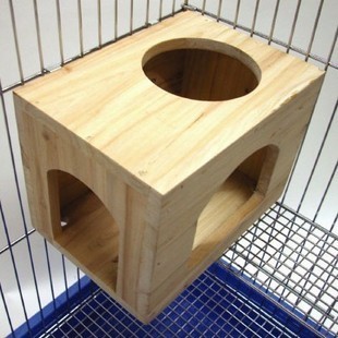 龙猫饲养技术书籍,龙猫饲养空间布置