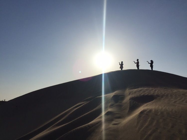 我爱远方风景,我爱远方和自由