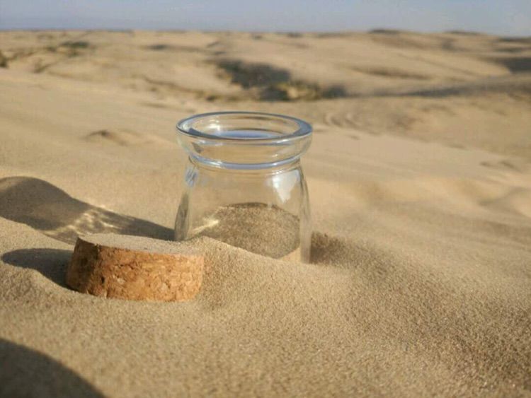 我爱远方风景,我爱远方和自由