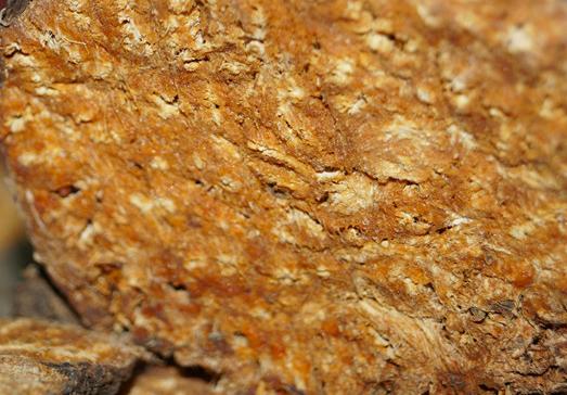 它是植物的分泌物奇臭无比却是止臭、消积的中药