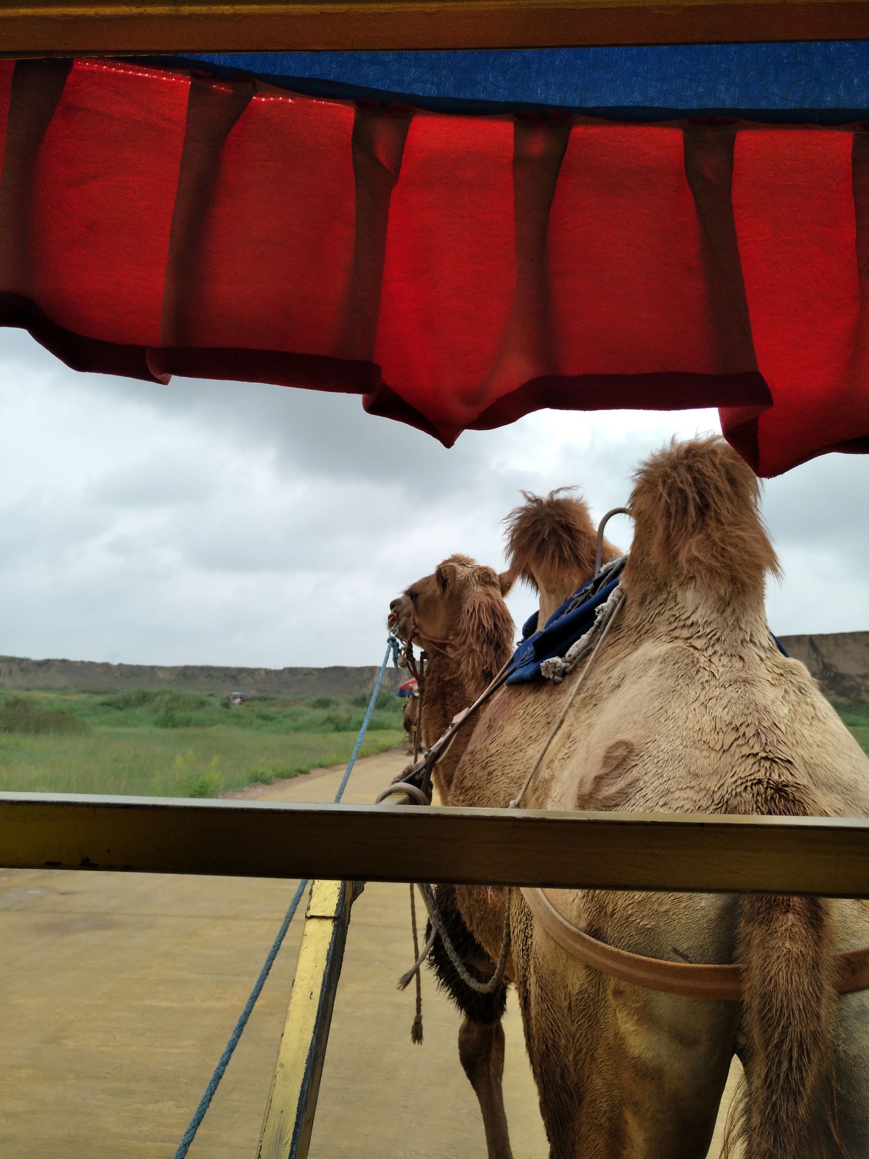 宁夏到陕西的沿途旅游,从宁夏自驾游到重庆多长时间