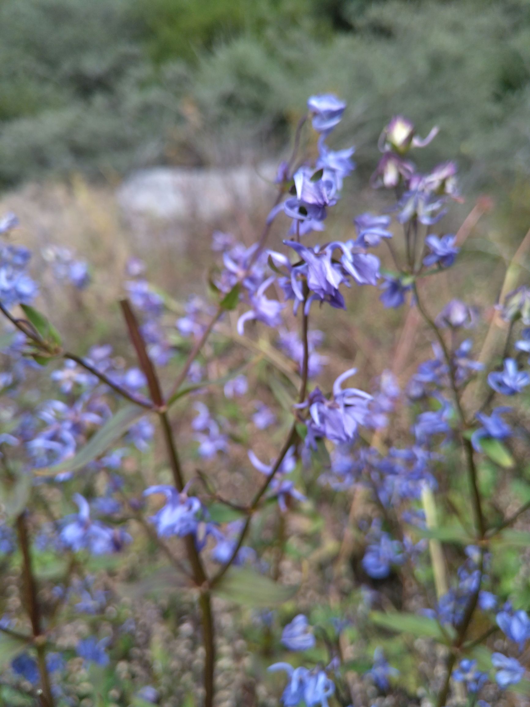 宁夏到陕西的沿途旅游,从宁夏自驾游到重庆多长时间