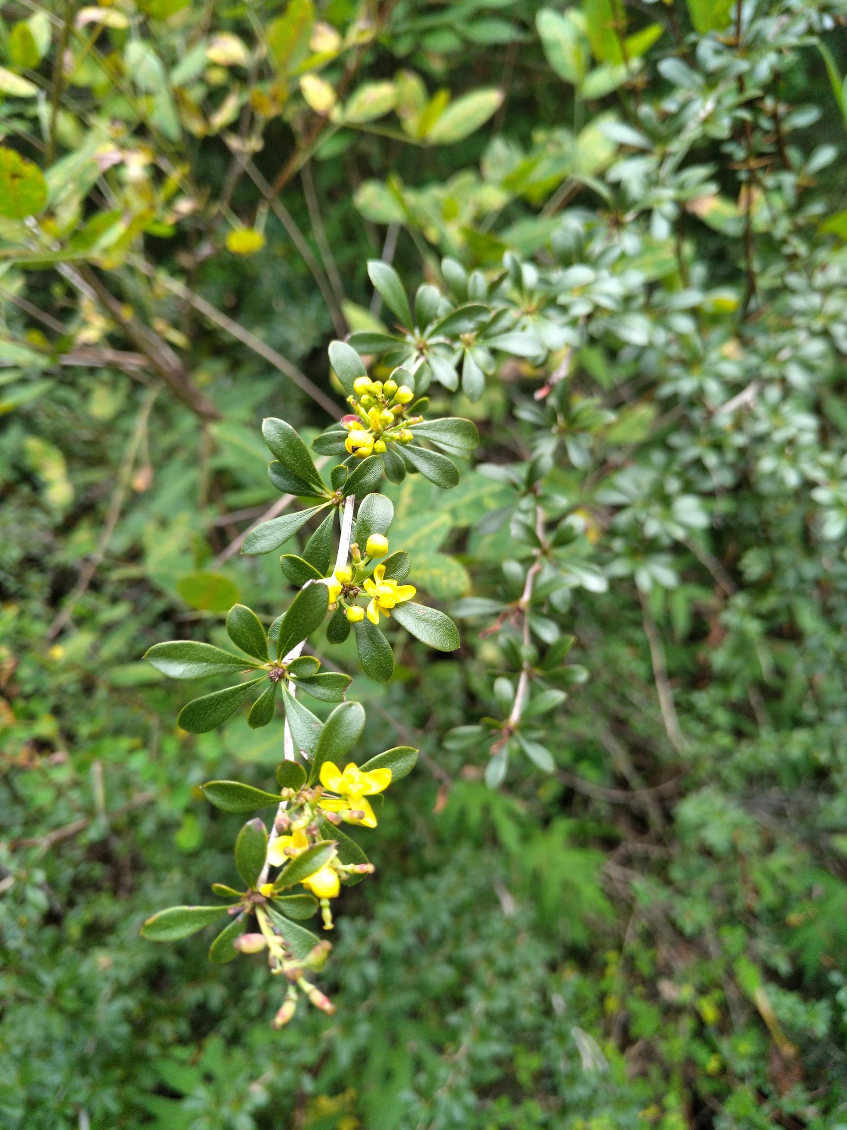 宁夏到陕西的沿途旅游,从宁夏自驾游到重庆多长时间