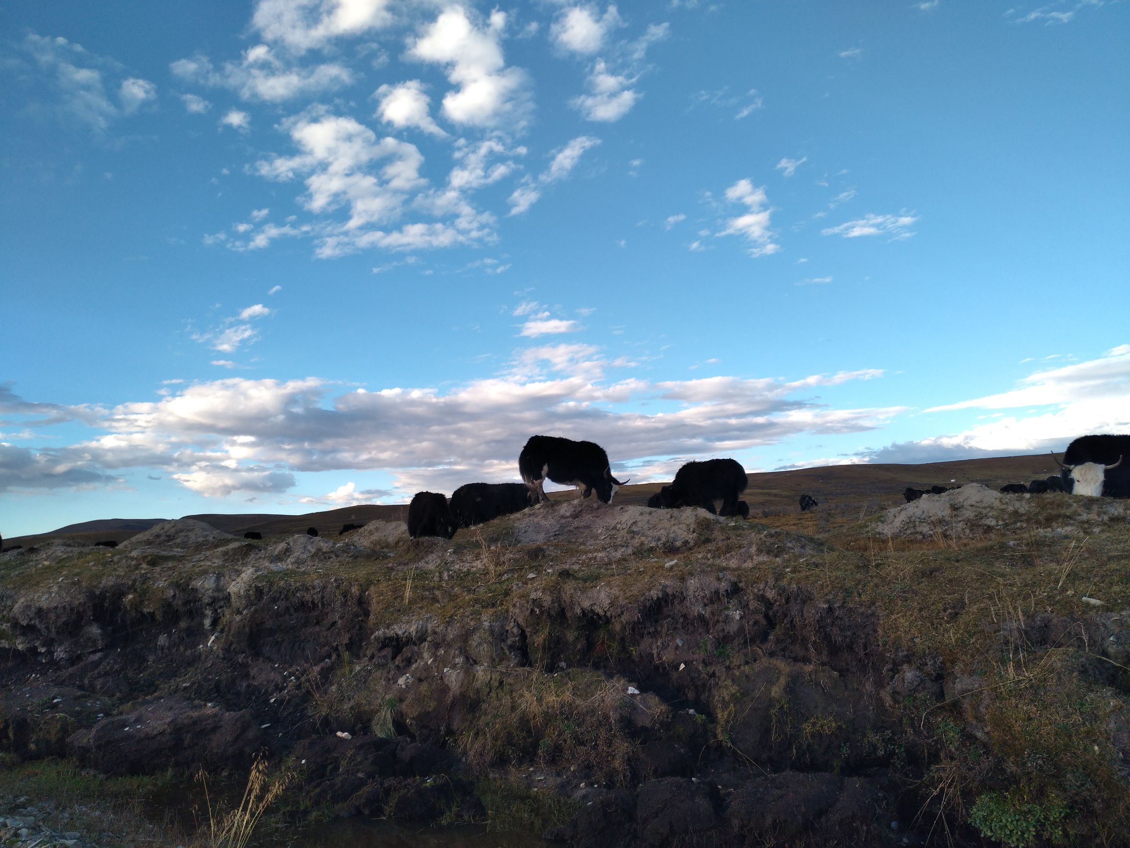 宁夏到陕西的沿途旅游,从宁夏自驾游到重庆多长时间