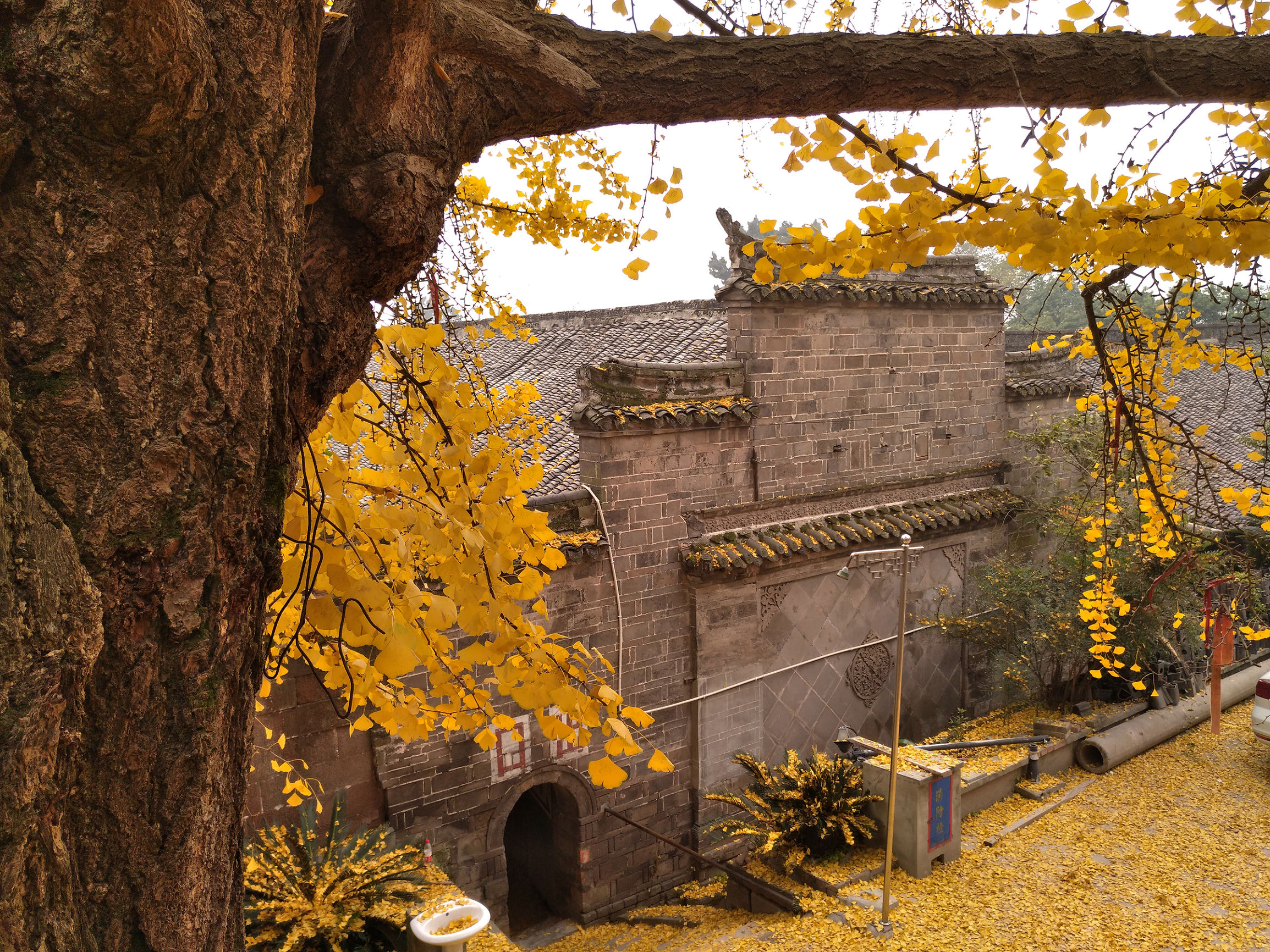 宁夏到陕西的沿途旅游,从宁夏自驾游到重庆多长时间