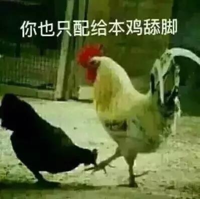 各大牌鸡年限定,外国人对鸡看法