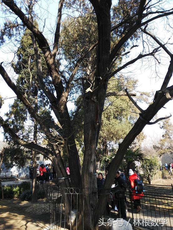 数字三孔—春节寻根之旅