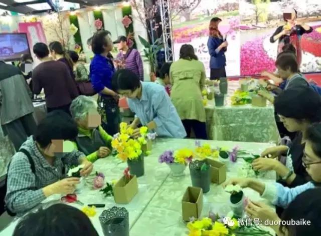 春节花市的鲜花,春节能看花的植物