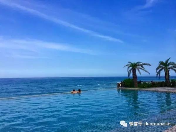 春节花市的鲜花,春节能看花的植物