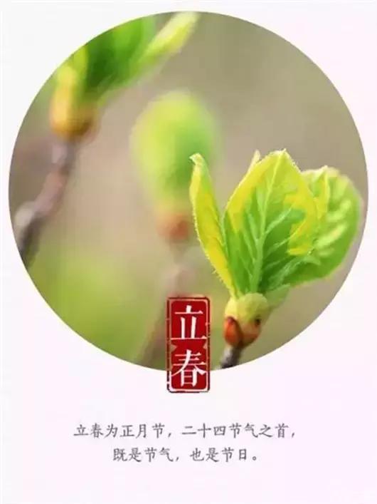 立春了怎么办小妙招,立春特别冷怎么回事