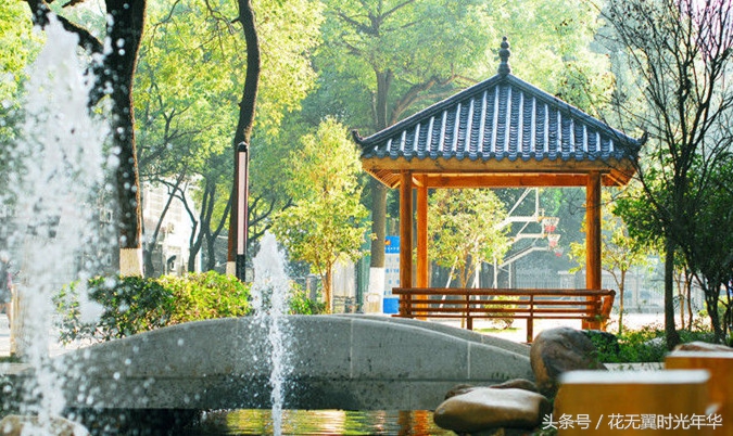 长沙市芙蓉区小升初各校录取人数,长沙芙蓉区2024小升初