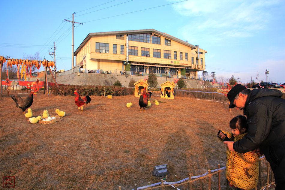 天水麦积区翠湖镇,甘肃天水麦积区翠湖