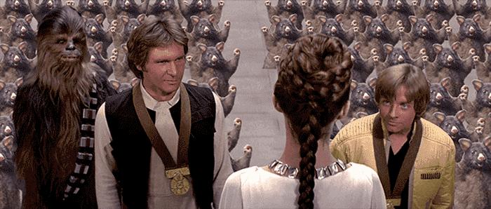 新西兰负鼠是什么,新西兰负鼠