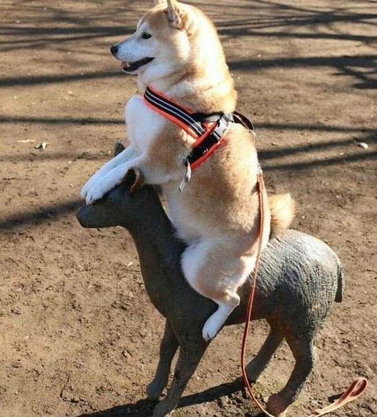 什么情况可以拉黑一个人,为什么会拉黑一个人呢