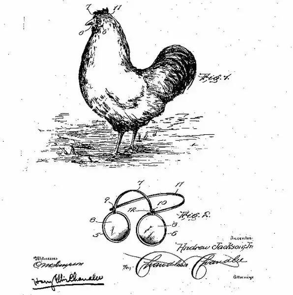 无厘头斗鸡眼,无厘头发明