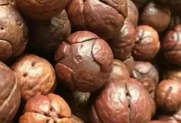 五星上将凤眼品相,麒麟眼五星上将