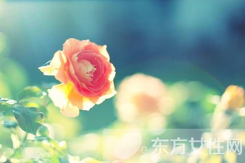 产后怕热爱出汗是什么原因,产后出汗怎么回事吃什么药