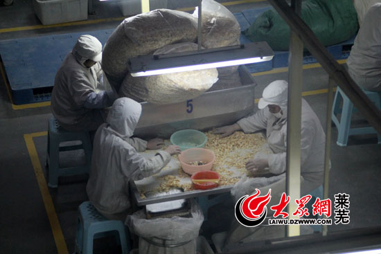 地理标志产品莱芜生姜,关于莱芜生姜品牌故事