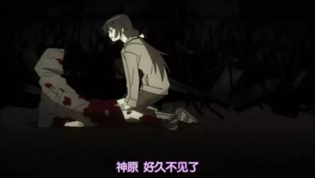 猴年说猴阅读理解答案初中,猴年说猴阅读理解