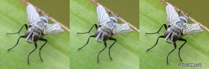 超级微距35倍,能用软件实现超级微距吗