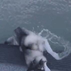 超市买烟幽默笑话,刚去超市买烟幽默笑话