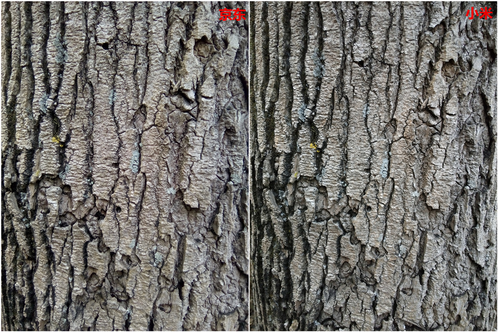 小米平板2值得买吗,京东vs小米