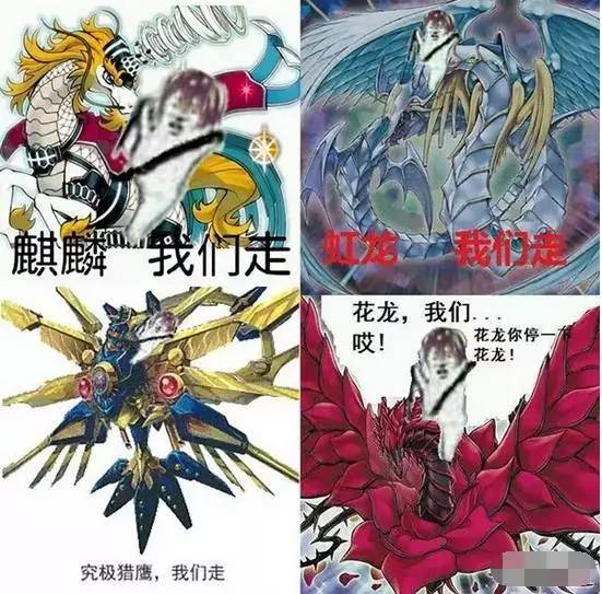 皮皮虾表情包所有图片,目前皮皮虾最火的表情包