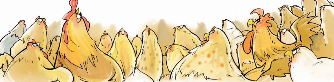 那只小母鸡，你收敛点！是你本命年也不能太过分！