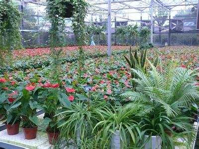 20岁创业适合干什么生意成功案例,20岁创业适合干什么生意赚钱