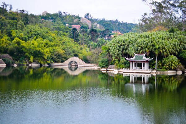 盆栽国色天香,国色天香立春