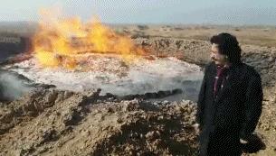 30秒抓鸽子,八个神器抓鸽子