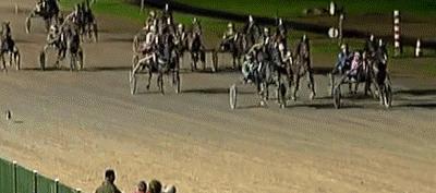 30秒抓鸽子,八个神器抓鸽子