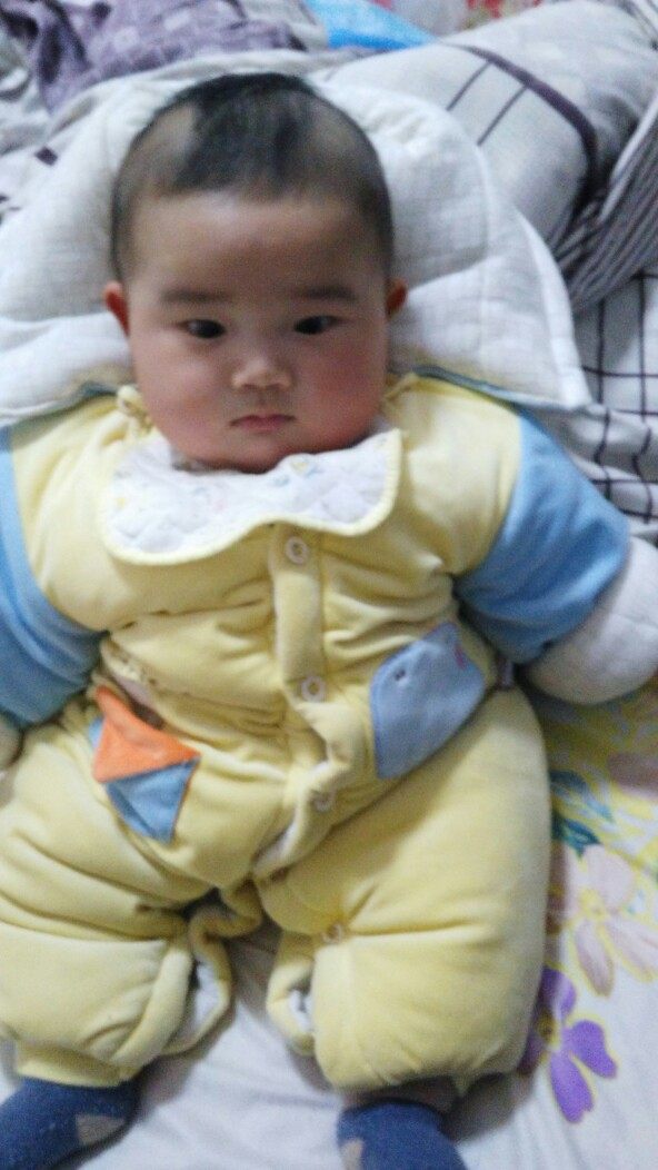 鱼缸养鲫鱼和金鱼,在鱼缸里养金鱼和鱼苗