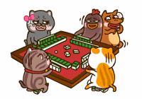 想打麻将赢有什么妙法,打麻将想要赢