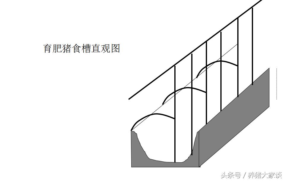 现代养猪的简易猪舍建造,自繁自养猪舍建设