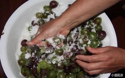 红葡萄酒的酿制方法视频,自制红葡萄酒的酿制方法