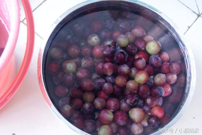 红葡萄酒的酿制方法视频,自制红葡萄酒的酿制方法