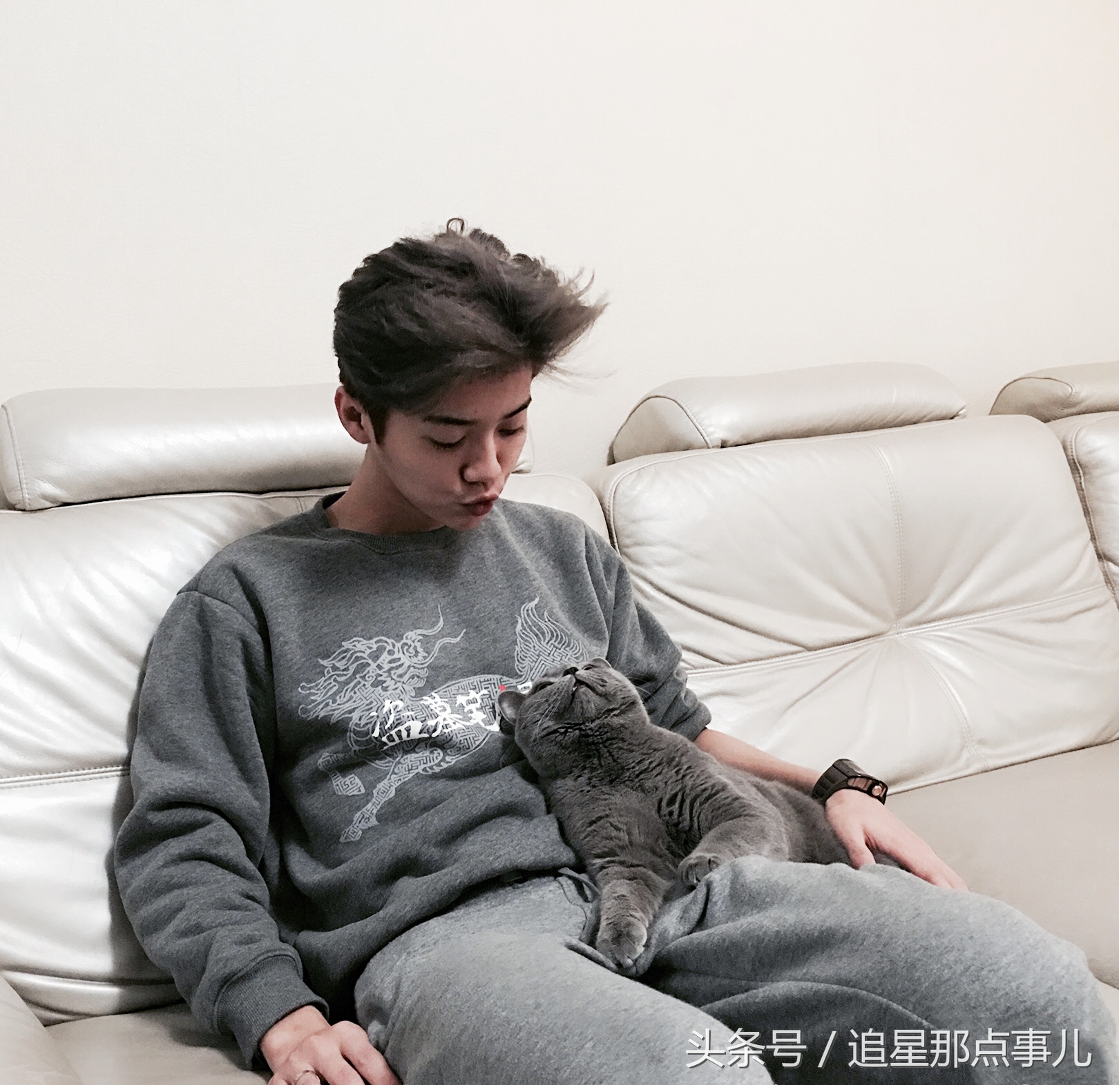 鹿晗胡歌吴磊,鹿晗胡歌葫芦娃