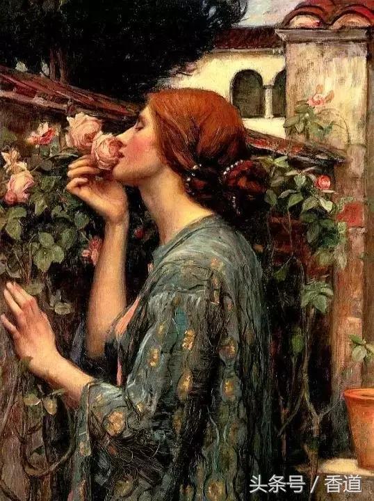 可囊可食,可嗅可观,可插可戴的玫瑰,才是“真玫瑰”